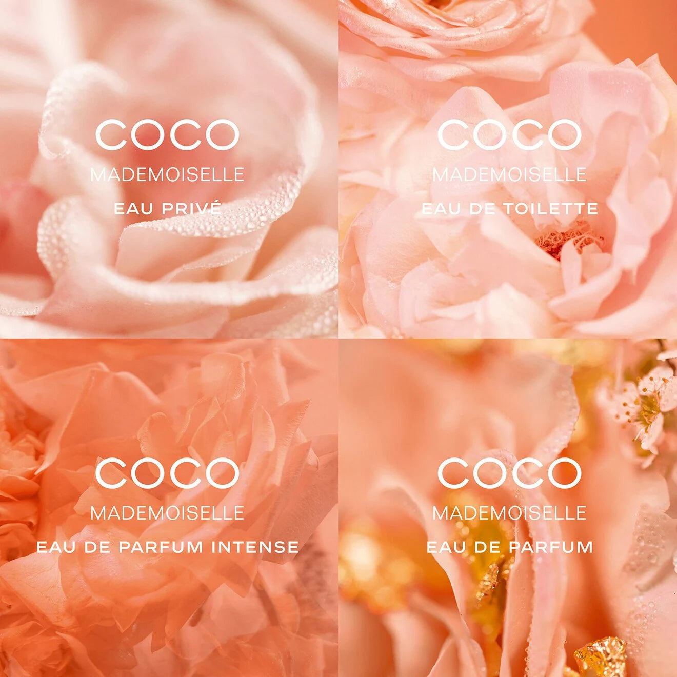 CHANEL COCO MADEMOISELLE - Eau De Parfum Spray 100ml